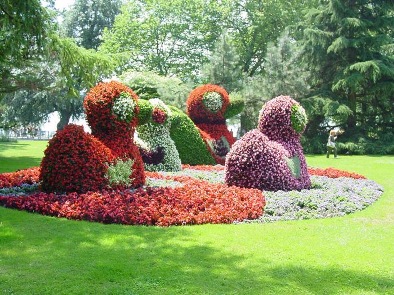 Your audio guide of Constance: Flower Island Mainau | SmartGuide, image size:1280x960