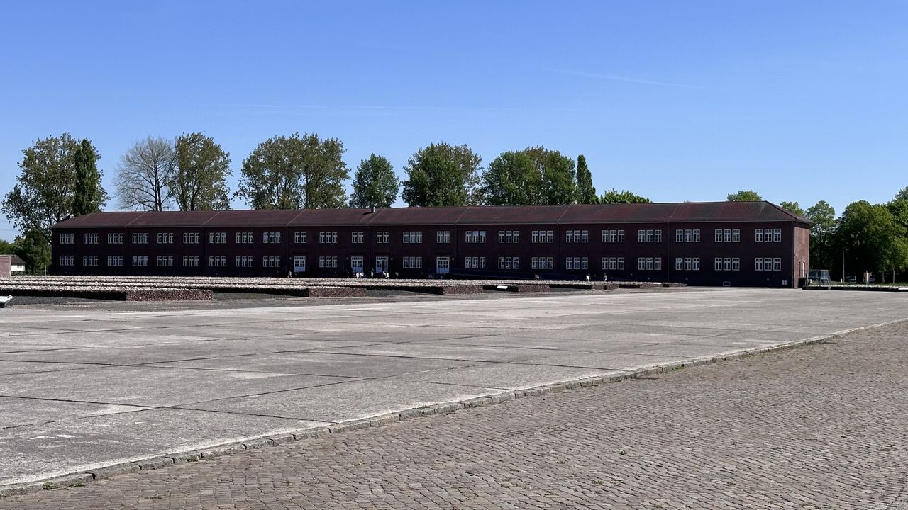 campingstuhl kleinkinder Kinder Campingstuhl Tiere  Faltbarer Klappstuhl mit Tiermotiv, Getrn