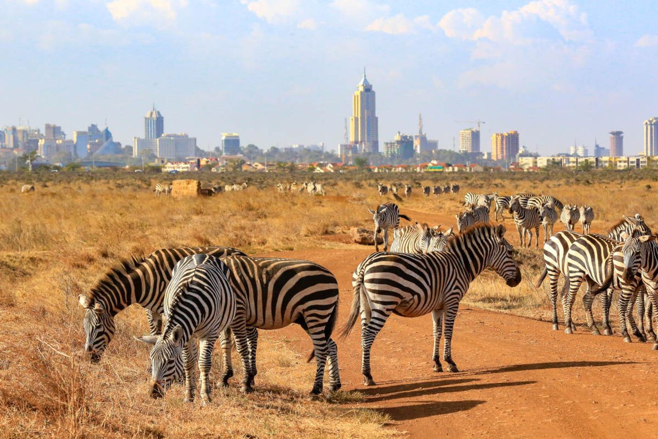 Self guided tour of nairobi national park smartguide